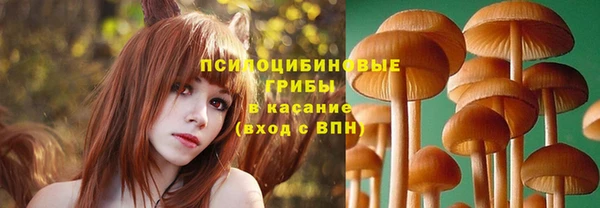 сатива Алексеевка