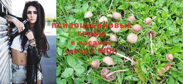 кокс Алексин