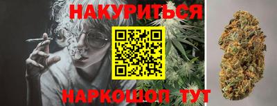 spice Дубна