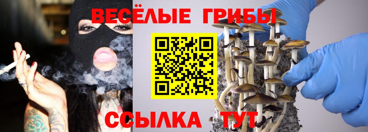 Галлюциногенные грибы мицелий Людиново