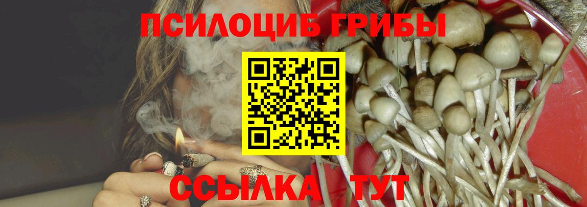 Галлюциногенные грибы MAGIC MUSHROOMS  Псилоцибиновые грибы Cubensis  Вход с VPN  Людиново 